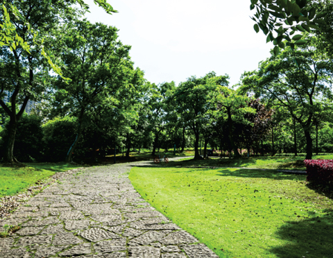 garden area